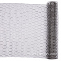 Hot Dip Galvanized Chicken Hexagonal Wire Netting Cage